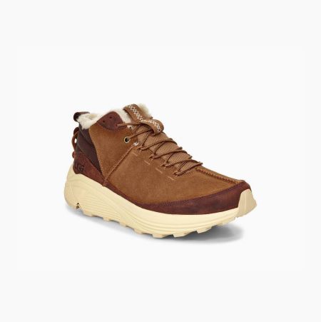 UGG Miwo Trainer High Brown Sneakers for Men (JSQM82394)